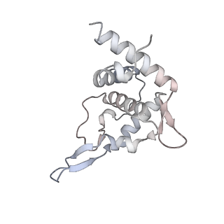 32803_7wtw_T_v1-2
Cryo-EM structure of a human pre-40S ribosomal subunit - State RRP12-A3