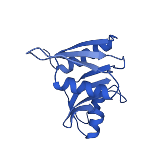 32803_7wtw_W_v1-2
Cryo-EM structure of a human pre-40S ribosomal subunit - State RRP12-A3