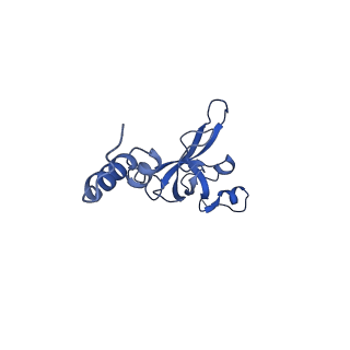 32803_7wtw_X_v1-2
Cryo-EM structure of a human pre-40S ribosomal subunit - State RRP12-A3