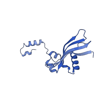 32803_7wtw_Y_v1-2
Cryo-EM structure of a human pre-40S ribosomal subunit - State RRP12-A3