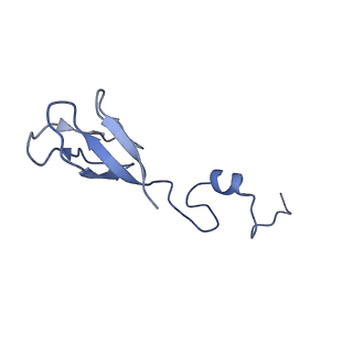 32803_7wtw_b_v1-2
Cryo-EM structure of a human pre-40S ribosomal subunit - State RRP12-A3