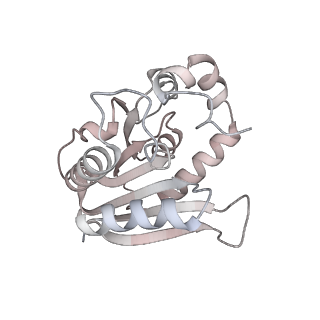 32803_7wtw_q_v1-2
Cryo-EM structure of a human pre-40S ribosomal subunit - State RRP12-A3