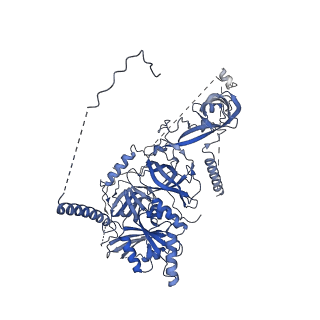 32803_7wtw_u_v1-2
Cryo-EM structure of a human pre-40S ribosomal subunit - State RRP12-A3
