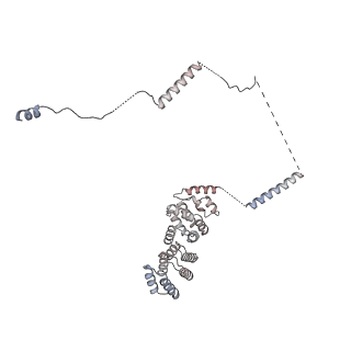 32803_7wtw_w_v1-2
Cryo-EM structure of a human pre-40S ribosomal subunit - State RRP12-A3