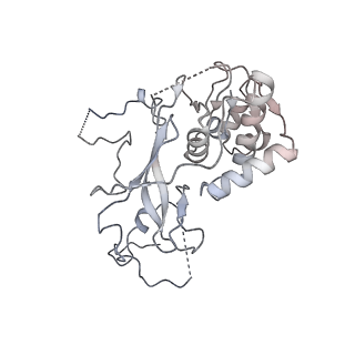 32803_7wtw_y_v1-2
Cryo-EM structure of a human pre-40S ribosomal subunit - State RRP12-A3