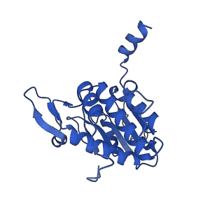 32804_7wtx_A_v1-2
Cryo-EM structure of a human pre-40S ribosomal subunit - State RRP12-B1