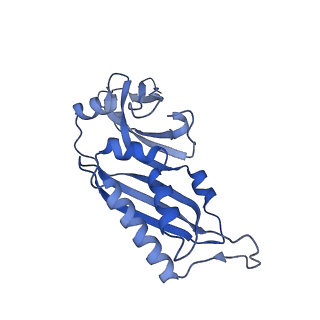 32804_7wtx_B_v1-2
Cryo-EM structure of a human pre-40S ribosomal subunit - State RRP12-B1