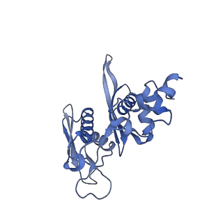 32804_7wtx_C_v1-2
Cryo-EM structure of a human pre-40S ribosomal subunit - State RRP12-B1