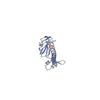 32804_7wtx_G_v1-2
Cryo-EM structure of a human pre-40S ribosomal subunit - State RRP12-B1