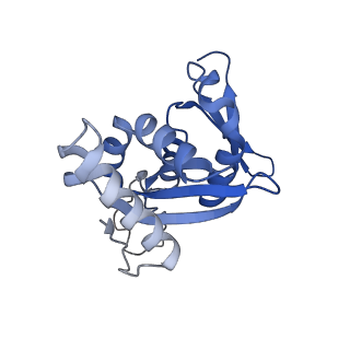 32804_7wtx_H_v1-2
Cryo-EM structure of a human pre-40S ribosomal subunit - State RRP12-B1