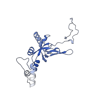 32804_7wtx_I_v1-2
Cryo-EM structure of a human pre-40S ribosomal subunit - State RRP12-B1