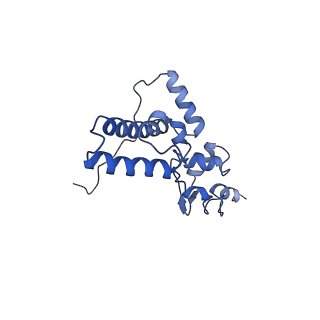 32804_7wtx_J_v1-2
Cryo-EM structure of a human pre-40S ribosomal subunit - State RRP12-B1