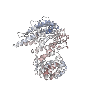 32804_7wtx_K_v1-2
Cryo-EM structure of a human pre-40S ribosomal subunit - State RRP12-B1