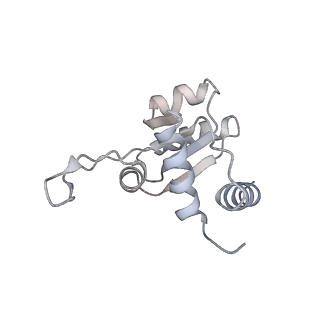 32804_7wtx_M_v1-2
Cryo-EM structure of a human pre-40S ribosomal subunit - State RRP12-B1