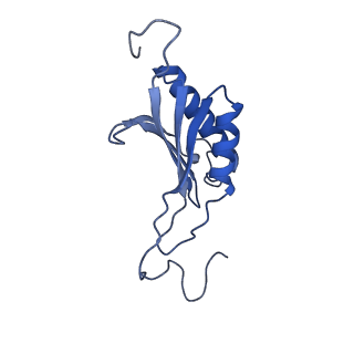 32804_7wtx_O_v1-2
Cryo-EM structure of a human pre-40S ribosomal subunit - State RRP12-B1