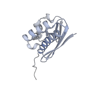 32804_7wtx_Q_v1-2
Cryo-EM structure of a human pre-40S ribosomal subunit - State RRP12-B1