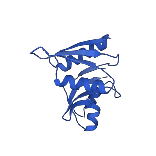 32804_7wtx_W_v1-2
Cryo-EM structure of a human pre-40S ribosomal subunit - State RRP12-B1