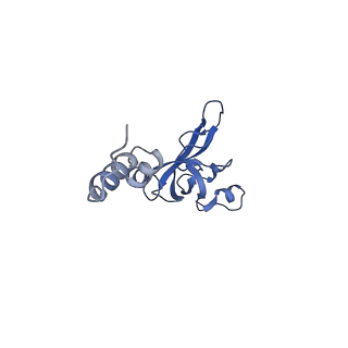 32804_7wtx_X_v1-2
Cryo-EM structure of a human pre-40S ribosomal subunit - State RRP12-B1