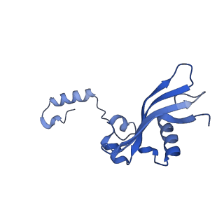 32804_7wtx_Y_v1-2
Cryo-EM structure of a human pre-40S ribosomal subunit - State RRP12-B1