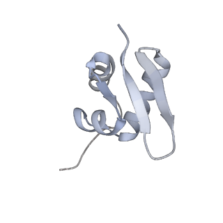32804_7wtx_Z_v1-2
Cryo-EM structure of a human pre-40S ribosomal subunit - State RRP12-B1