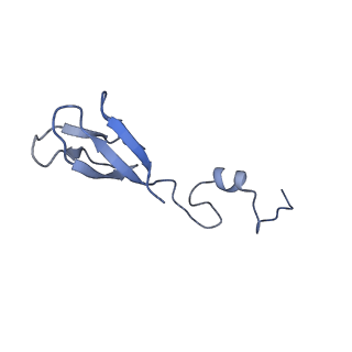 32804_7wtx_b_v1-2
Cryo-EM structure of a human pre-40S ribosomal subunit - State RRP12-B1