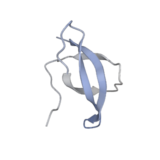 32804_7wtx_c_v1-2
Cryo-EM structure of a human pre-40S ribosomal subunit - State RRP12-B1