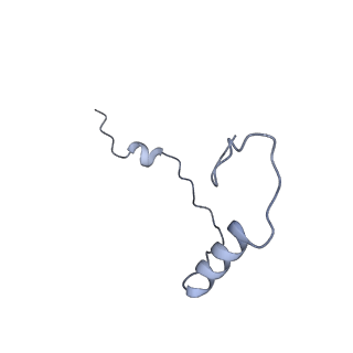 32804_7wtx_e_v1-2
Cryo-EM structure of a human pre-40S ribosomal subunit - State RRP12-B1