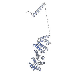 32804_7wtx_w_v1-2
Cryo-EM structure of a human pre-40S ribosomal subunit - State RRP12-B1