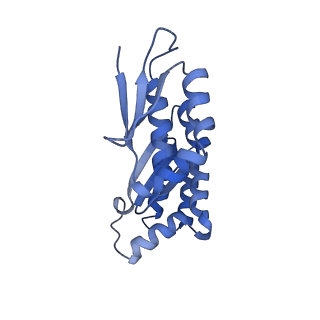 32804_7wtx_x_v1-2
Cryo-EM structure of a human pre-40S ribosomal subunit - State RRP12-B1