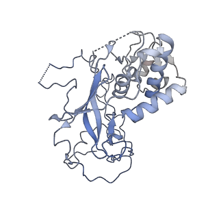 32804_7wtx_y_v1-2
Cryo-EM structure of a human pre-40S ribosomal subunit - State RRP12-B1