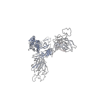 37835_8wtj_A_v1-0
XBB.1.5.70 spike protein in complex with ACE2