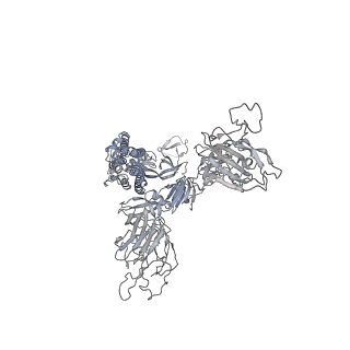 37835_8wtj_A_v1-1
XBB.1.5.70 spike protein in complex with ACE2