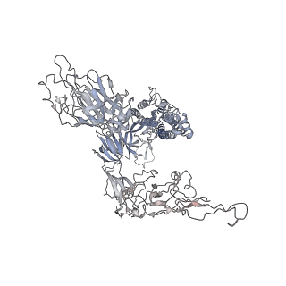 37835_8wtj_C_v1-0
XBB.1.5.70 spike protein in complex with ACE2