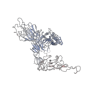 37835_8wtj_C_v1-1
XBB.1.5.70 spike protein in complex with ACE2