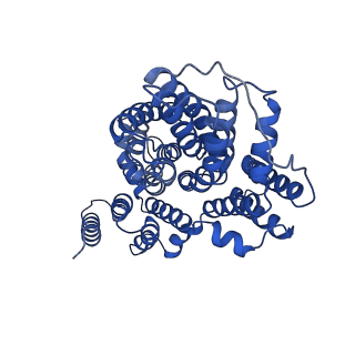 21904_6wu3_A_v1-0
Structure of VcINDY-Na+ in amphipol