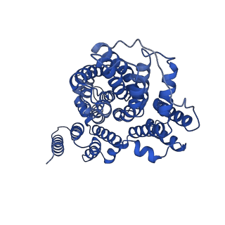 21904_6wu3_A_v1-1
Structure of VcINDY-Na+ in amphipol