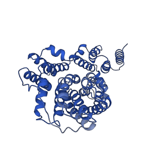21904_6wu3_C_v1-0
Structure of VcINDY-Na+ in amphipol