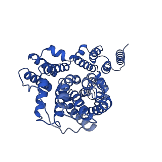 21904_6wu3_C_v1-1
Structure of VcINDY-Na+ in amphipol