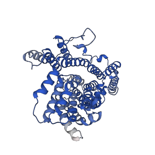 21905_6wu4_B_v1-1
Structure of the LaINDY-alpha-ketoglutarate complex