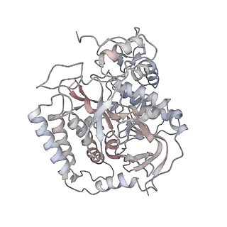 21906_6wu6_A_v1-1
succinate-coenzyme Q reductase