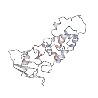 21906_6wu6_B_v1-0
succinate-coenzyme Q reductase