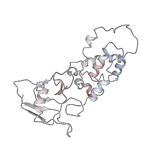 21906_6wu6_B_v1-1
succinate-coenzyme Q reductase