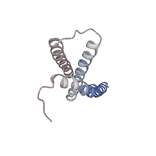 21906_6wu6_C_v1-1
succinate-coenzyme Q reductase