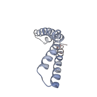 21906_6wu6_D_v1-1
succinate-coenzyme Q reductase