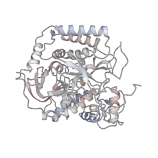 21906_6wu6_E_v1-1
succinate-coenzyme Q reductase