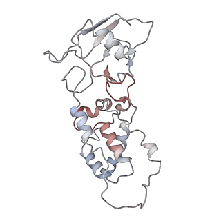 21906_6wu6_F_v1-0
succinate-coenzyme Q reductase