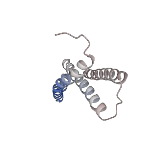 21906_6wu6_G_v1-1
succinate-coenzyme Q reductase