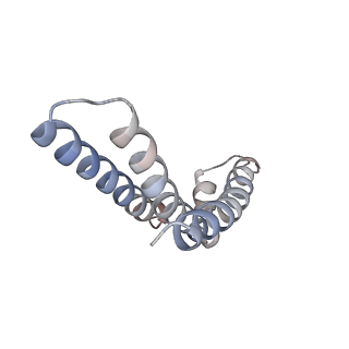 21906_6wu6_H_v1-1
succinate-coenzyme Q reductase