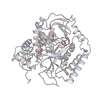 21906_6wu6_I_v1-1
succinate-coenzyme Q reductase