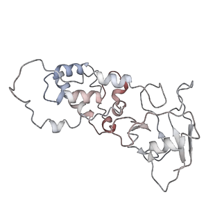 21906_6wu6_J_v1-1
succinate-coenzyme Q reductase